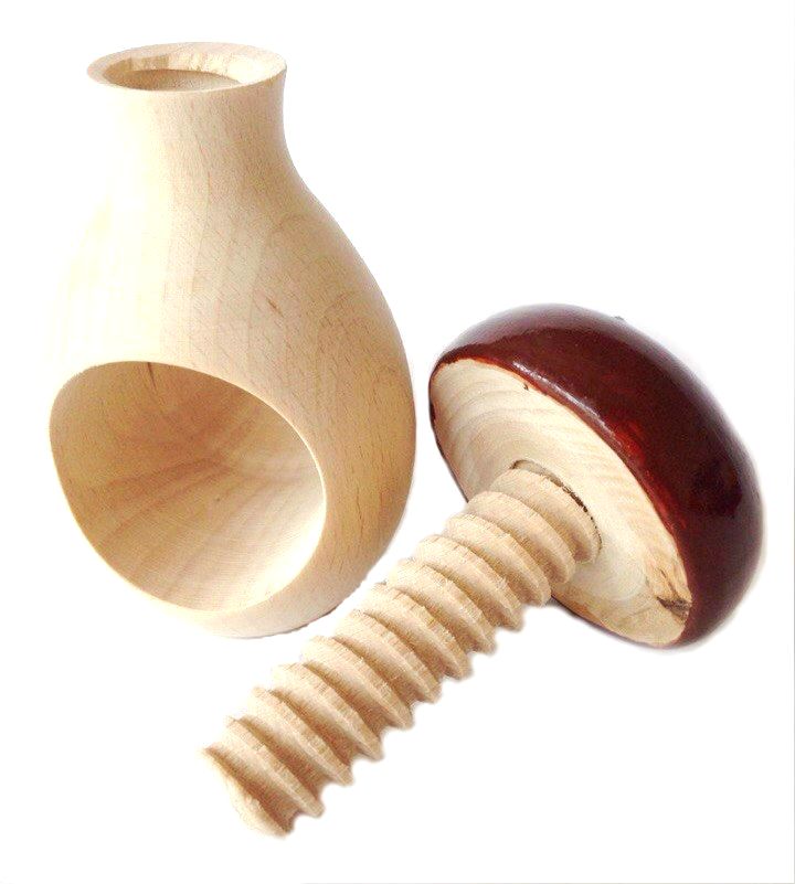 гриб винт боровик гриб винт боровик