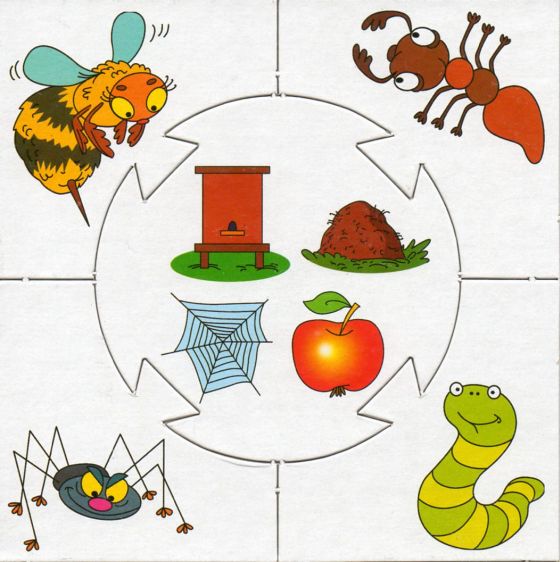 Кто в домике живет? Учись играя. Кто в домике живет? Учись играя.