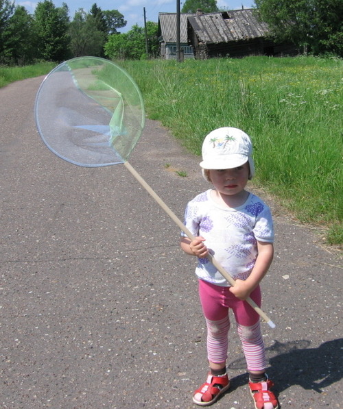 Сачок для бабочек