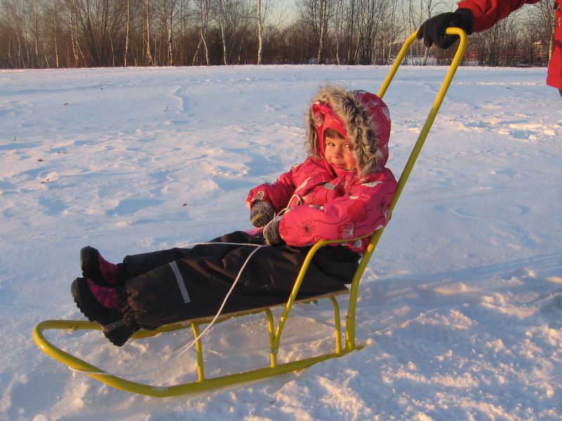 Санки детские с ручкой Снежинка Санки детские с ручкой Снежинка