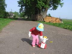 Каталка Козлик Арт.: С-189