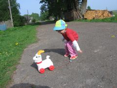 Каталка Козлик Арт.: С-189