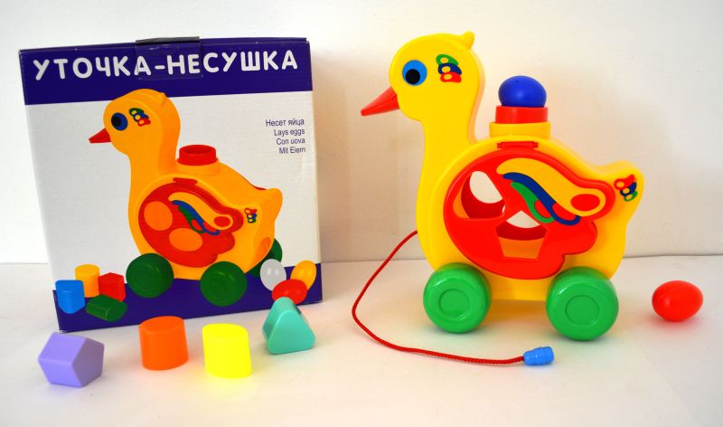 Уточка несушка Уточка несушка