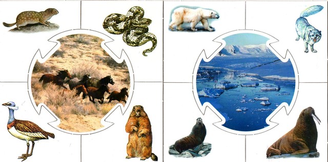 Учись играя. Кто где живет?