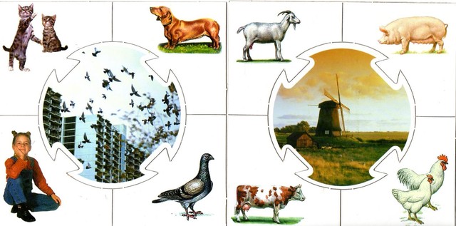 Учись играя. Кто где живет?