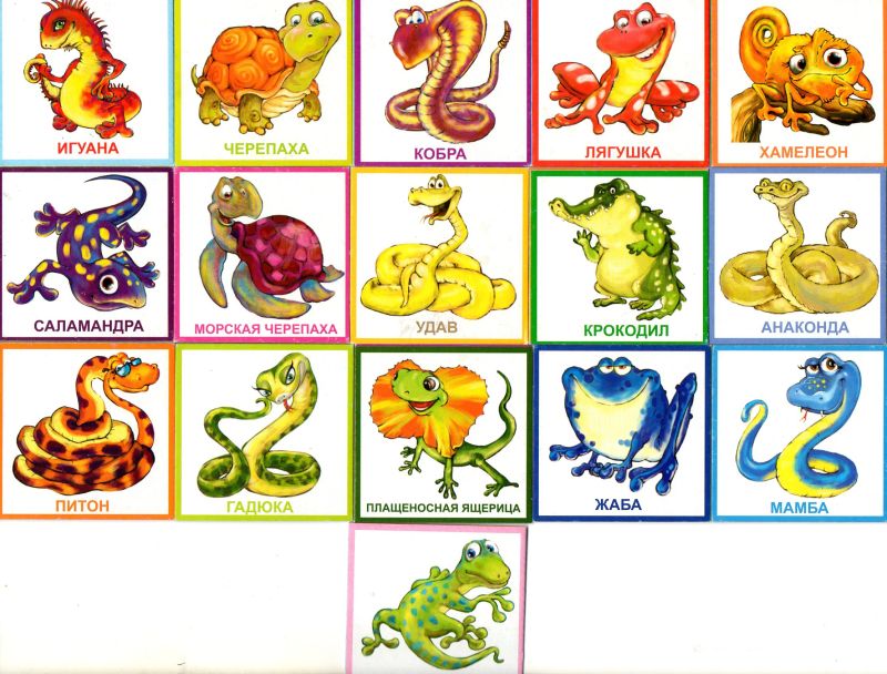 МЕМО картинки Змея и все ее друзья