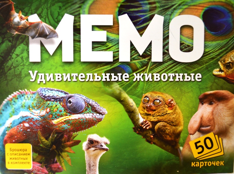 Игра МЕМО Удивительные животные