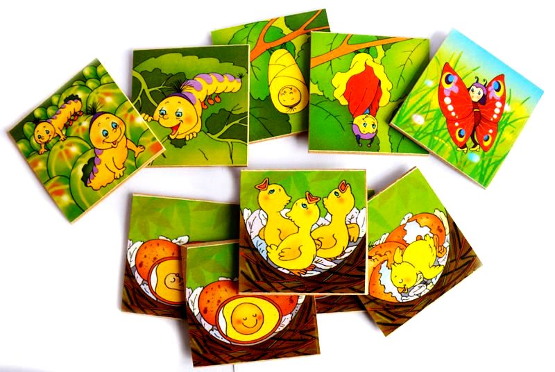 Логический пазл для детей превращения в природе