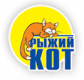 Рыжий кот Рыжий кот