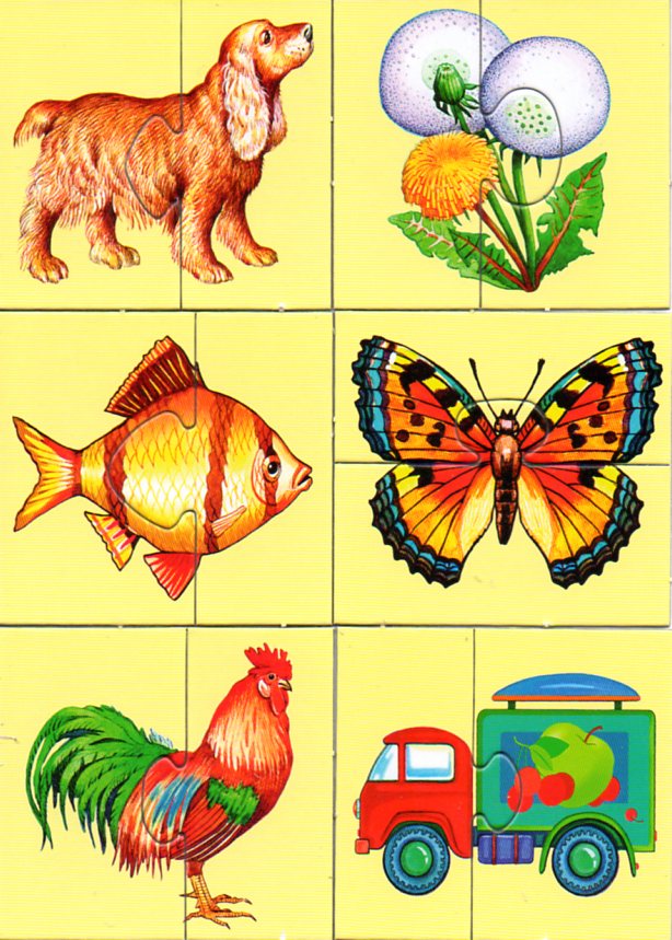 Настольная игра Половинки