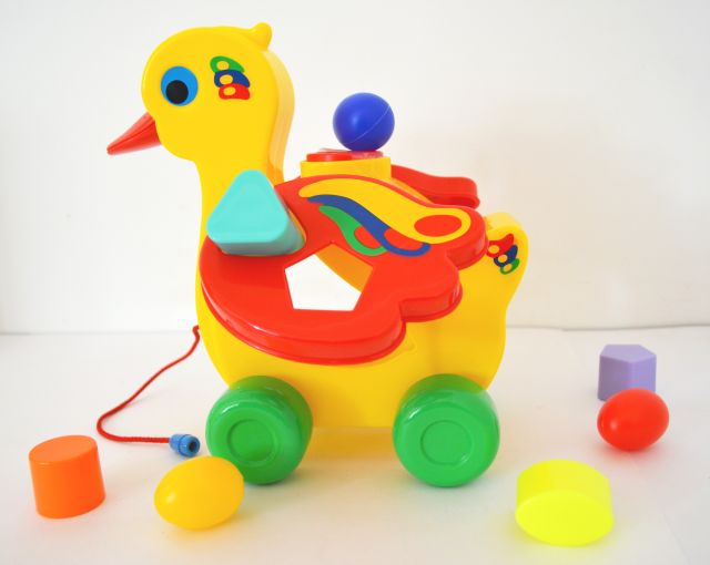 Уточка несушка. Уточка несушка Полесье