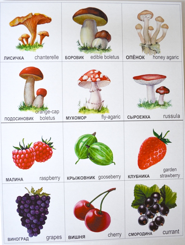 МЕМО карточки Фрукты, овощи, ягоды, грибы