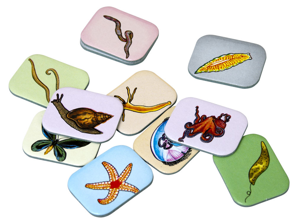 Викторина "Царство животных" (Твой кругозор)