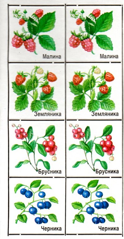 Парные картинки Находки Анютки и Федотки