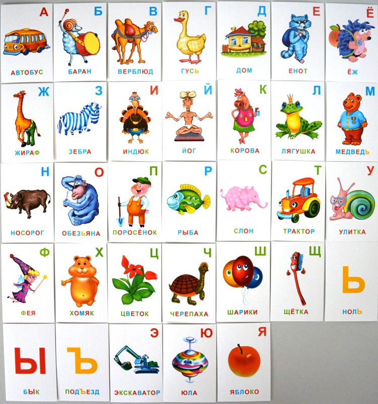 Обучающая игра стану отличником. Обучающая игра азбука и арифметика