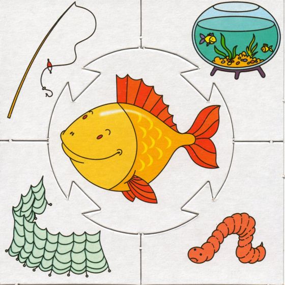 Картинки на логику. Логика для дошкольников в картинках.