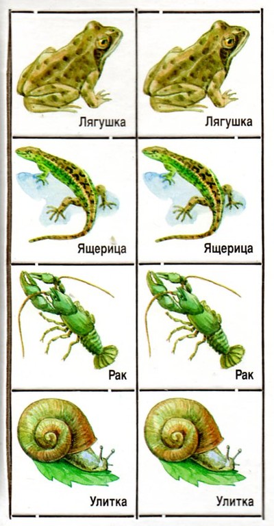 Парные картинки Находки Анютки и Федотки