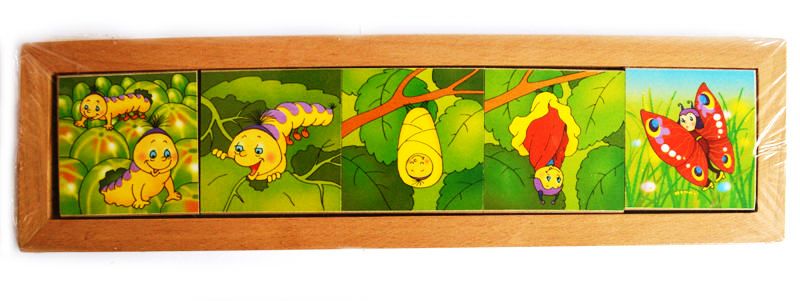 Логический пазл для детей превращения в природе