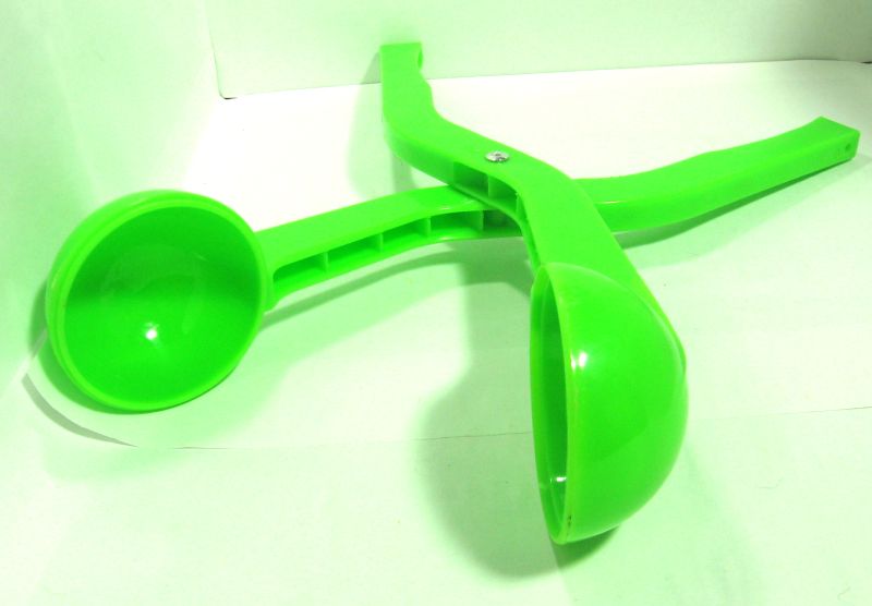 Снежколеп - вид в раскрытом виде - хорошо понятна чашка снежколепа Снежколеп - вид в раскрытом виде - хорошо понятна чашка снежколепа